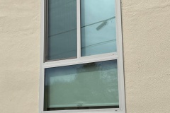IMG_0408